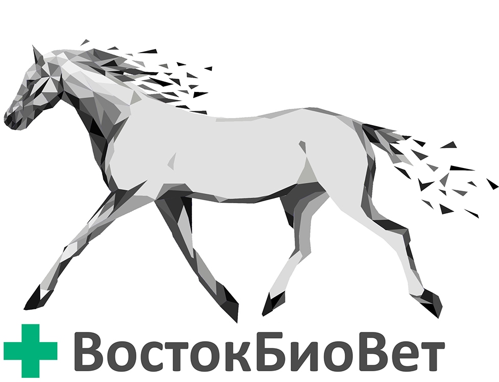 logo-vbvшапка2.jpg